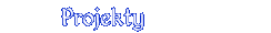 Projekty